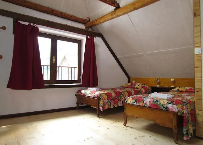 Joe's Place Log pod Mangartom